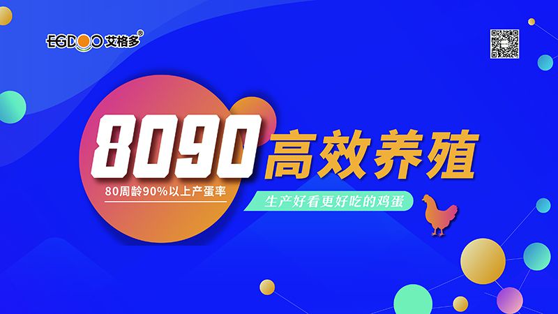 四會(huì)連開，艾格多8090高 效養(yǎng)殖700天唐山區(qū)域線下交流會(huì)成功舉辦