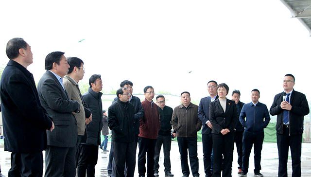 鶴壁市委常委、常務(wù)副市長等領(lǐng)導來岐伯基地視察并指導工作
