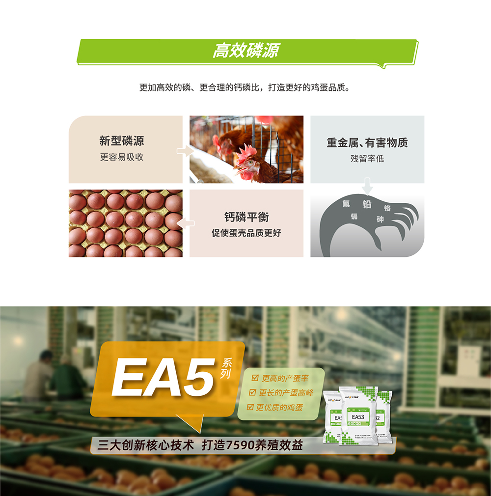 20220606 EA系列_產(chǎn)品詳情頁(yè)_畫板 4